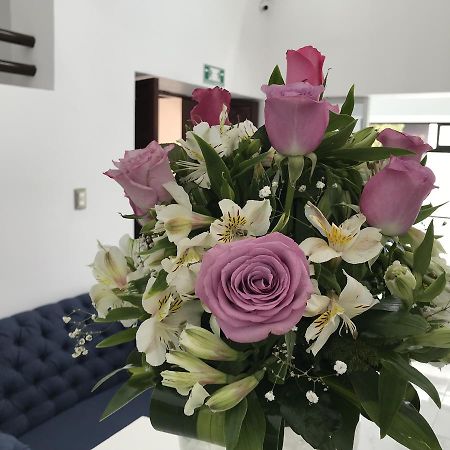 Hotel Plaza Amalia Tuxtla Gutierrez Bagian luar foto